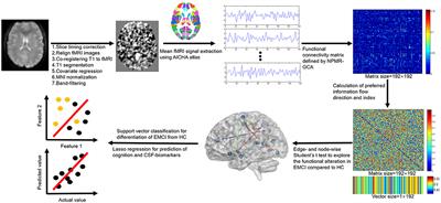 Information Flow Pattern in Early Mild Cognitive Impairment Patients